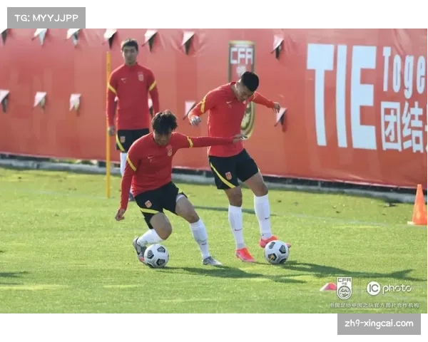 西乙B联赛球队的魅力与挑战探索西班牙足球的多样性与竞争力